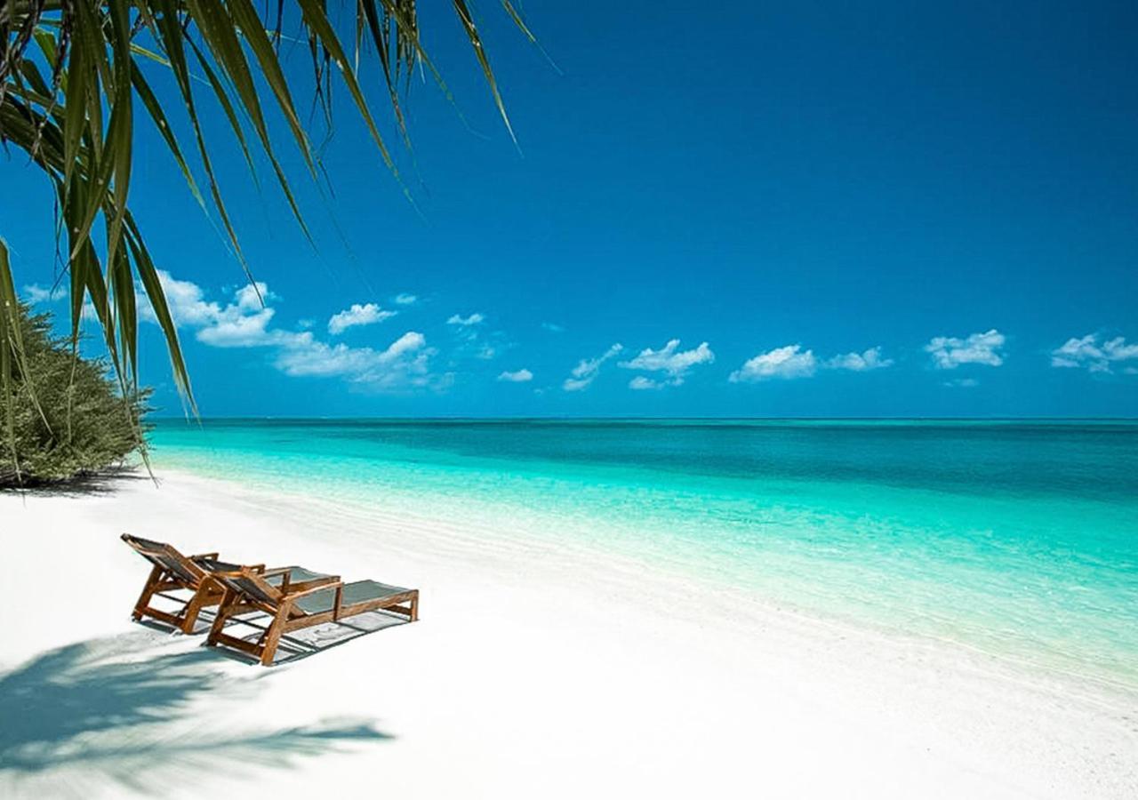 Tropical Tree 호텔 Fehendhoo 외부 사진