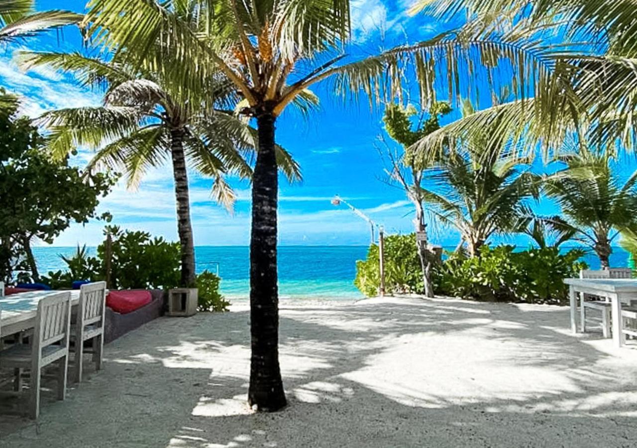 Tropical Tree 호텔 Fehendhoo 외부 사진
