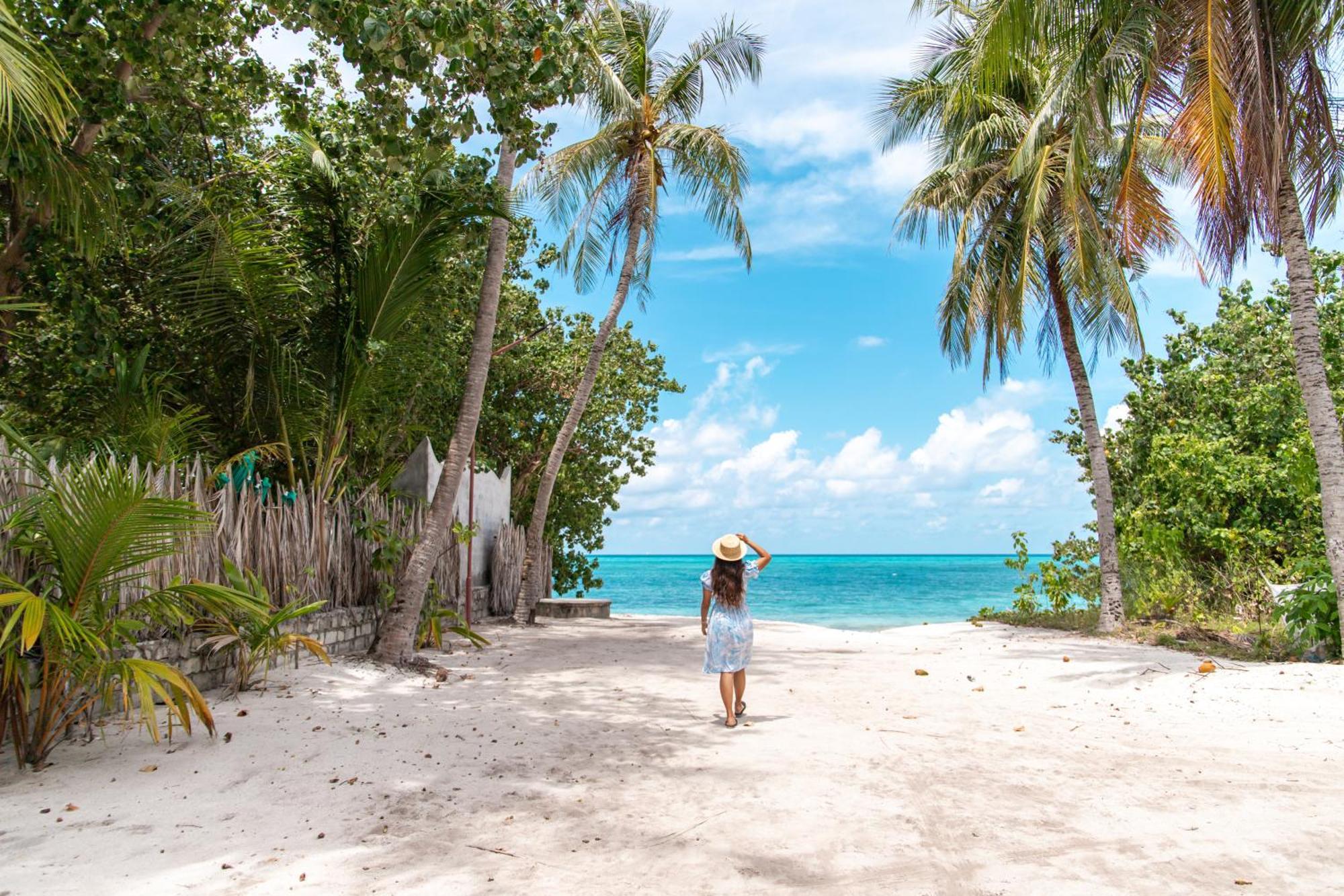 Tropical Tree 호텔 Fehendhoo 외부 사진