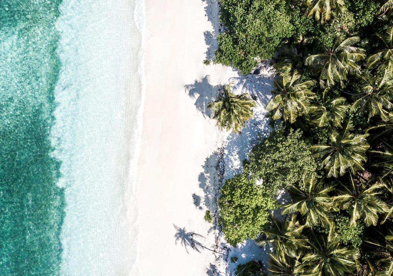 Tropical Tree 호텔 Fehendhoo 외부 사진