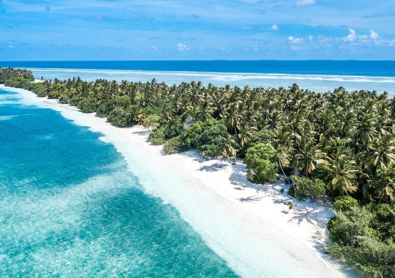 Tropical Tree 호텔 Fehendhoo 외부 사진